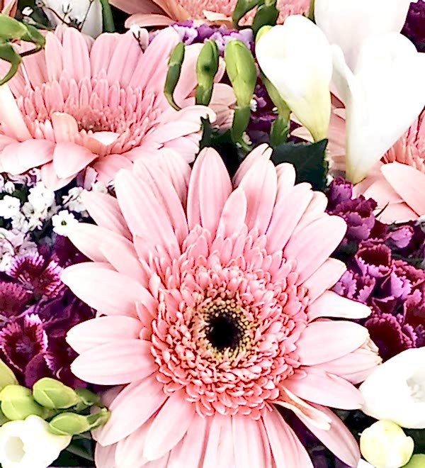 Mixed Flowers in Vase