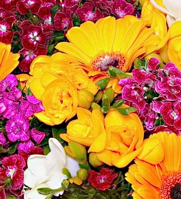 Seasonal Flowers of Turkey in Vase