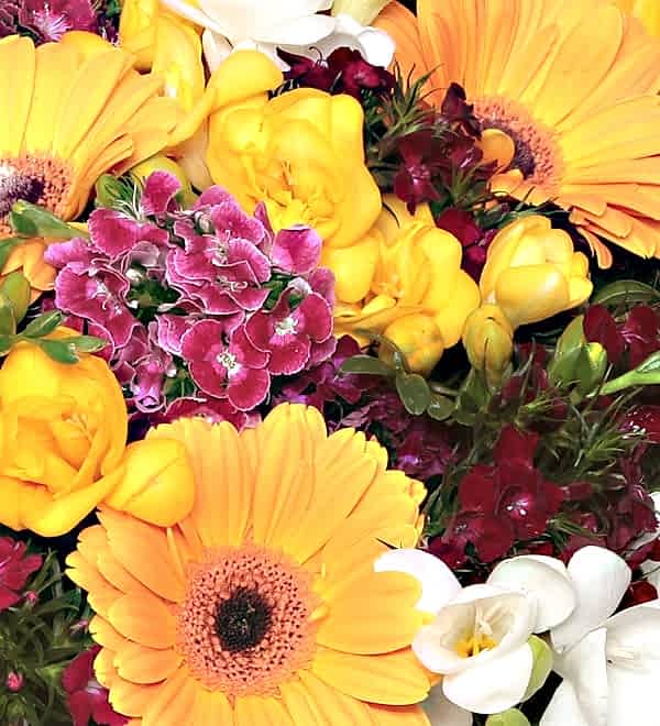 Seasonal Flowers of Turkey in Vase