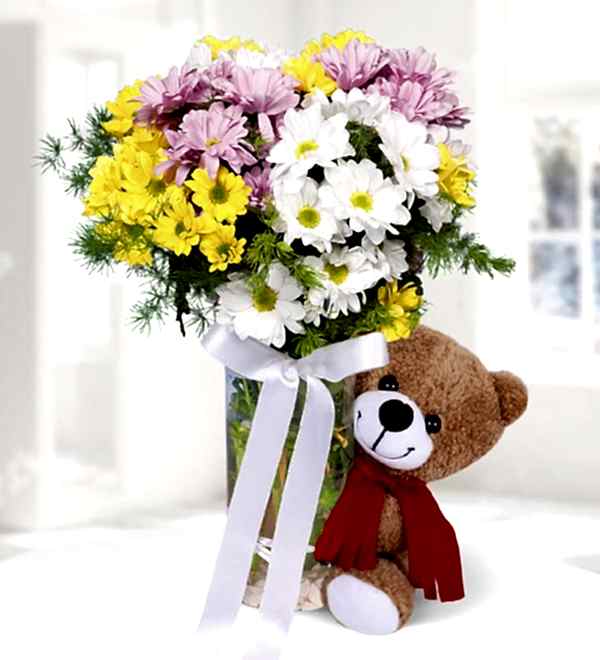 Daisies in Vase and Tedy Bear