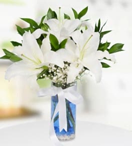 White Casablanca Lilium in Vase