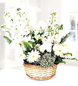 White Gillyflower Rose Gerbera Basket