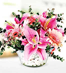 Pink Lilium Gerbera in Glass