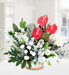 Anthurium Gillyflower Rose Gerbera in Basket