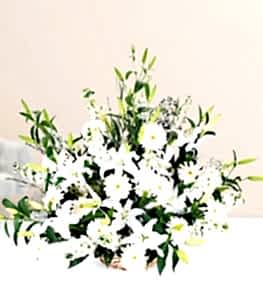 Lilium Gillyflower Gerberas in Basket