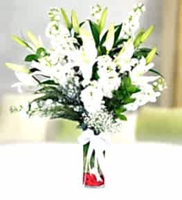 White Lilium Gillyflower in Vase