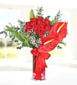 Red Rose Anthurium in Vase