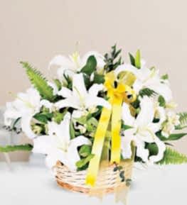 White Casablanca Lilium Basket