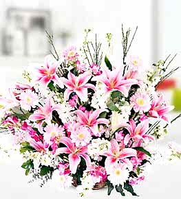 Pink Lilium Gerbera White Gillyflower in Basket