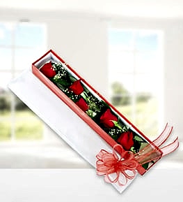 5 Red Roses in Elegant Box
