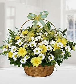 Yellow and White Chrysanthemums