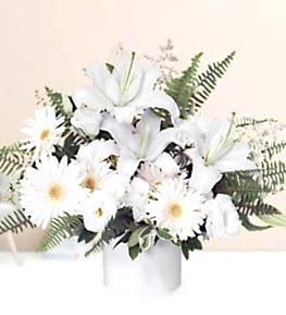 White Lilium Gerbera