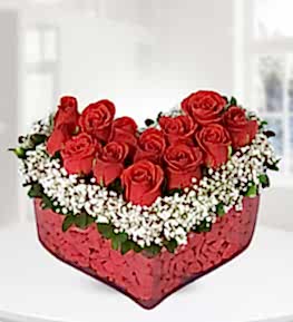 Red Roses in Heart