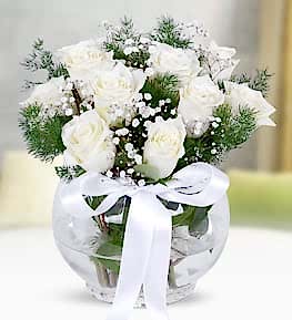 11 White Roses