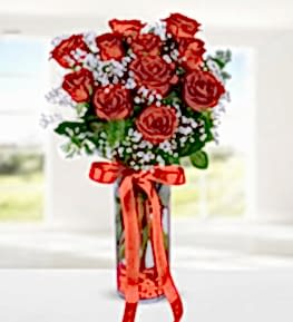 11 Red Rose Vase
