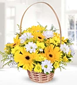 Yellow Gerbera and Chrysanthemums