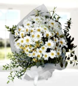 Bouquet of White Daisies