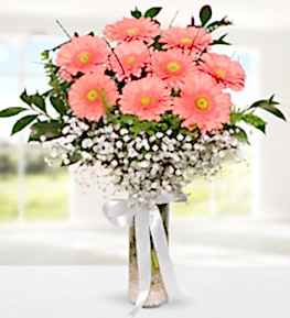 Pink Gerbera in Vase