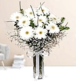 White Gerbera in Vase