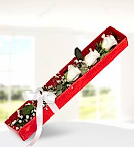 3 White Roses in Elegant Box