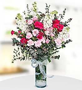 White Gillyflowers and Pink Carnations