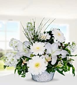 White Lilies Gerbera and Gillyflowers