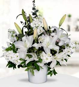 White Lilies and Gillyflowers in Ceramic Vase