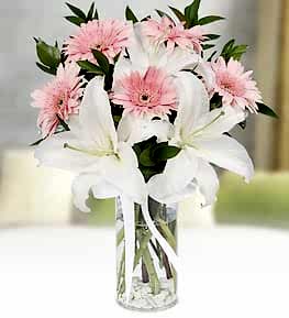 White Liliums and Pink Gerbera Arrangement