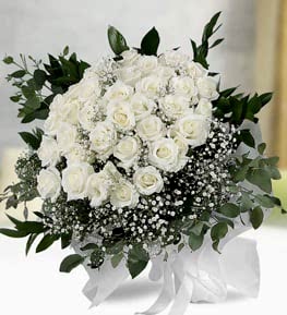41 White Roses