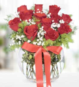 12 Red Roses in Bell Glass