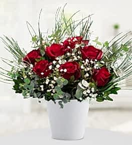 Red Roses in Ceramic Vase