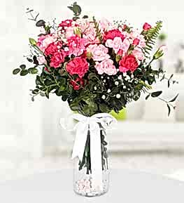 Pink Carnations in Vase