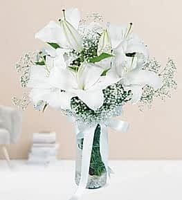 White Lilium