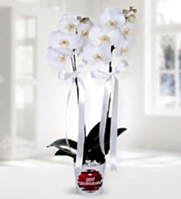 Orchid Themed I Love You