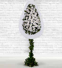 White Gerbera Basket Stand