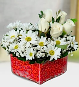 White Roses and Daisy in Heart