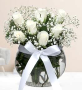 White Roses in Aquarium