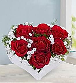 7 Red Roses in Heart