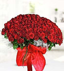 Bouquet of 501 Roses