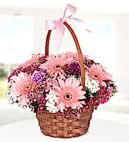 Sweet William Flowers and Gerbera