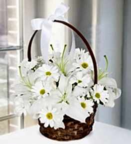 White Lilium and Chrysanthemums