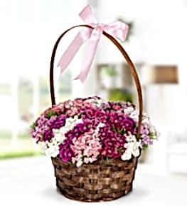 Sweet William Flowers in Basket