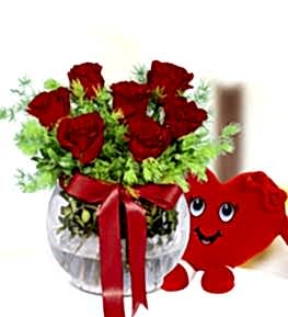 Red Roses in Aquarium and Heart pillow