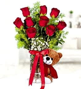 9 Red Roses in Vase and Teddy Bear