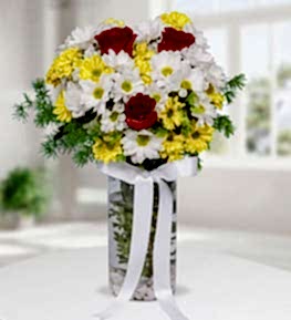 Colorful Chrysanthemums and Red Roses
