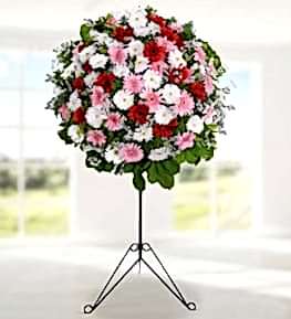 Colorful Gerberas in Basket Stand