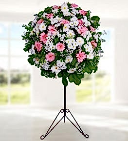 Gerbera ve Daisy in Basket Stand