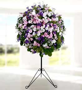 Lisianthus in Basket Stand