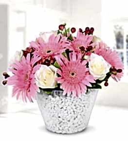 White Rose and Gerbera in a Ceramic