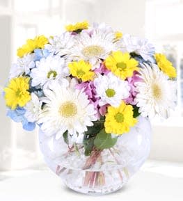 Colorful Daisies in Bell Glass
